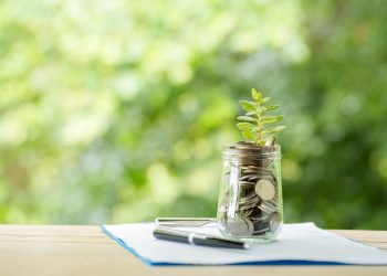 Sostenibilidad |  ESG.
SEVEN ROOTS
18/7/2022