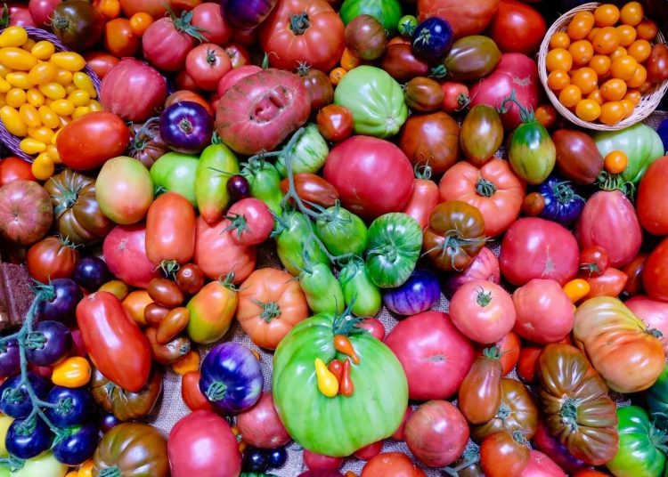 Hortalizas vegetales alimentos