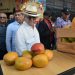 El expresidente de la República, Hipólito Mejía, asiste a la Feria Expo Mango 2025.