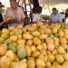 El año pasado las exportaciones de mango generaron US$42.4 millones.