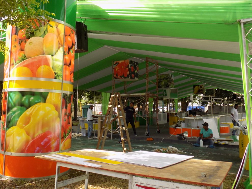 expo vega 1