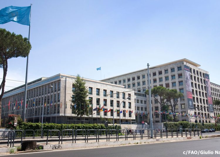 FAO-Building