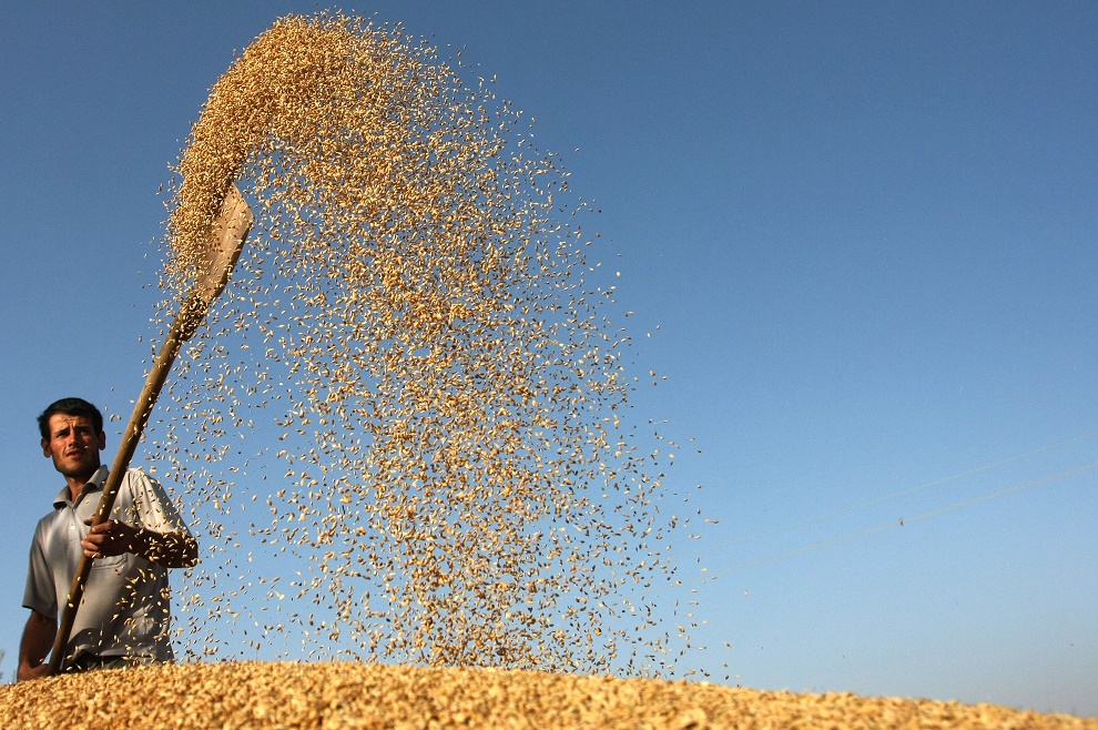 fao projects promoting animal health in tajikistan