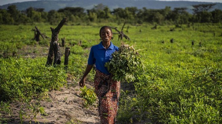 FAO subrayó que la transformación requiere inversiones estimadas en US$1.1 billones anuales hasta 2030.