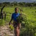 FAO subrayó que la transformación requiere inversiones estimadas en US$1.1 billones anuales hasta 2030.