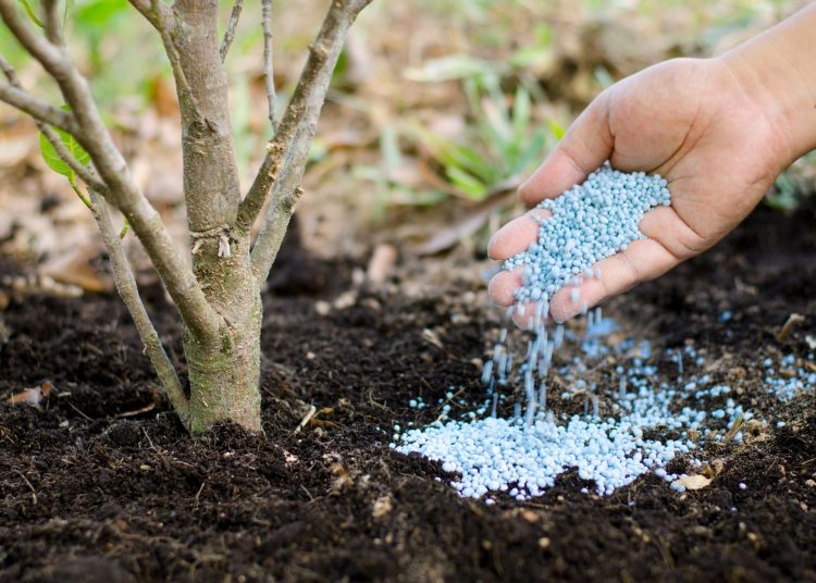 El bloqueo en Ormuz eleva riesgos para fertilizantes y alimentos, advierte Unctad.