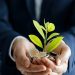 Las finanzas verdes no son idealismo: son una ventaja competitiva lista para monetizarse.