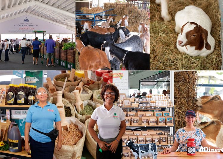 Participantes aprovechan el evento para fortalecer sus negocios y ampliar su alcance en el mercado.