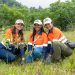 La iniciativa forma parte de los compromisos ambientales y del Plan de Compensación Forestal de la empresa.