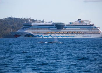Una ballena jorobada, su cría y su escolta nadan en la Bahía de Samaná, mientras un crucero se aproxima en el horizonte. Fotógrafo: Aurelio Reyes | Cortesía para elDinero.