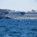 Una ballena jorobada, su cría y su escolta nadan en la Bahía de Samaná, mientras un crucero se aproxima en el horizonte. Fotógrafo: Aurelio Reyes | Cortesía para elDinero.