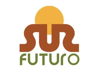 Fundación Sur Futuro
