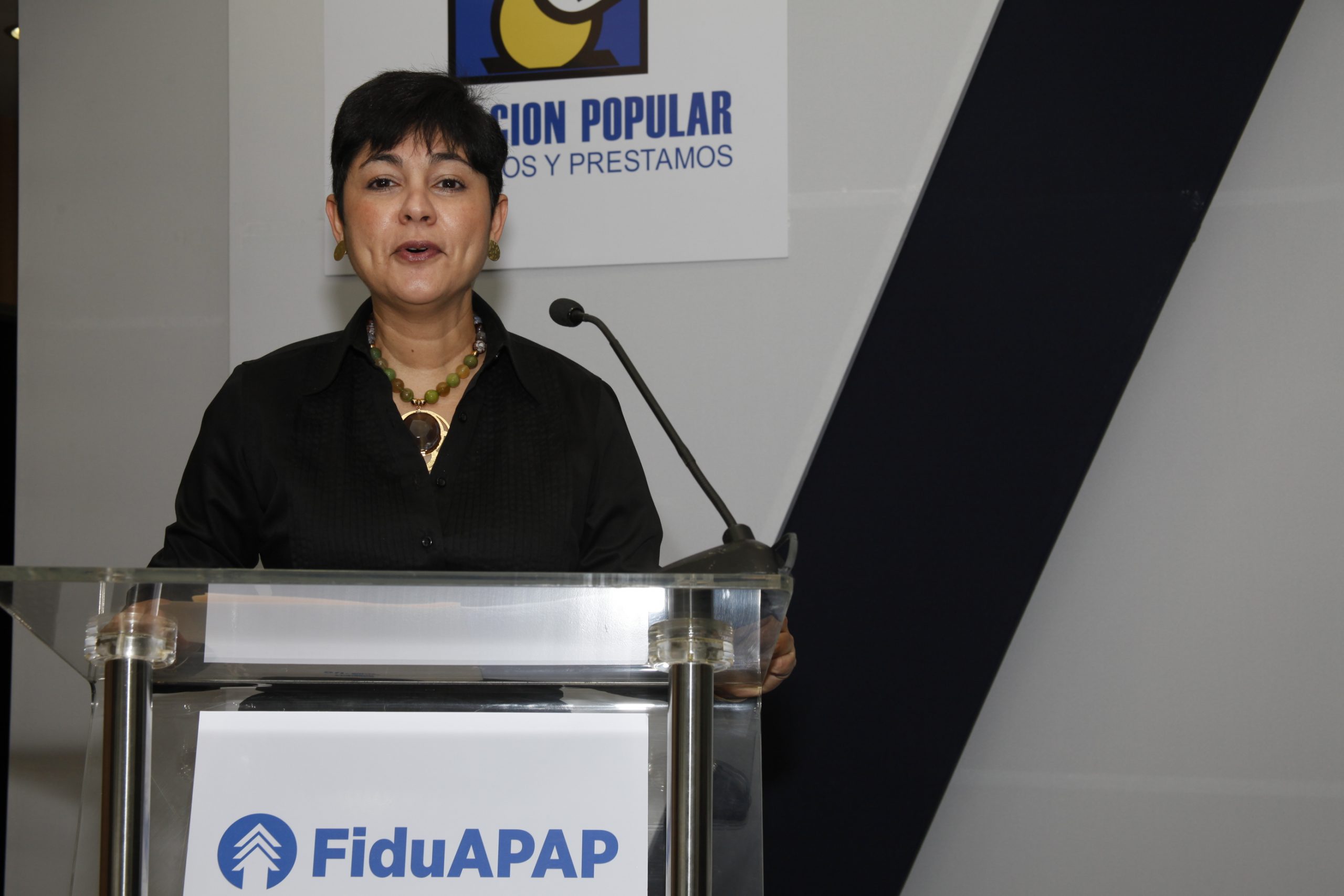 Germania Montás, economista, tuvo a su cargo el conversatorio de la APAP sobre fideicomiso.