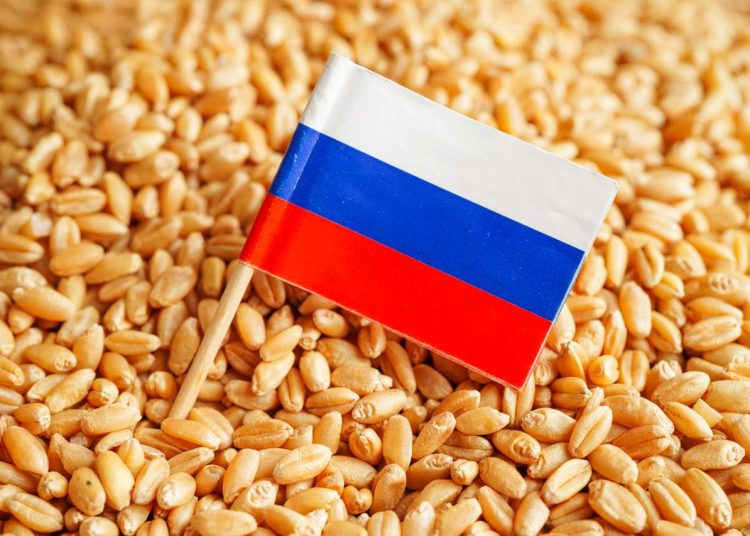 La Unión Rusa de Grano estima el potencial exportador de este país en 55-57 millones de toneladas de grano. - Fuente externa.