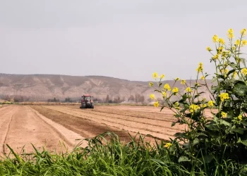 En la primera mitad de este año se produjo el ciclón tropical de mayor duración registrado en el sur de África y olas de calor e incendios forestales sin precedentes en Europa, América del Norte y Asia. - Fuente externa.
