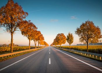 De los treinta países analizados, España es el que más autopistas ha construido. - Fuente externa.