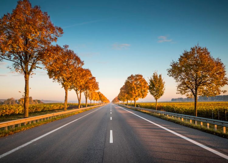 De los treinta países analizados, España es el que más autopistas ha construido. - Fuente externa.