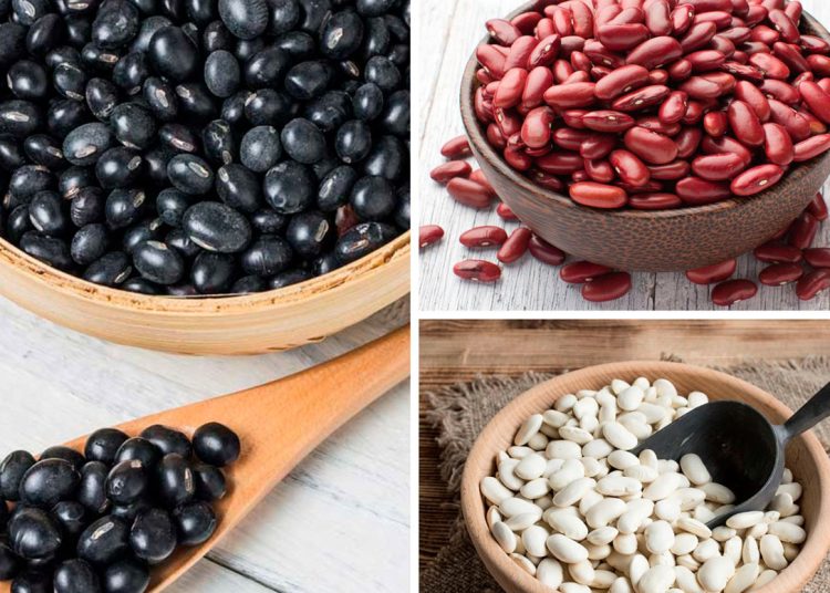 La habichuelas son de los pocos alimentos vegetales ricos en proteínas.