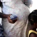 Las oficialías de Registro Civil indican que en 2023 las declaraciones de nacimientos de nacidos en ese año sumaron 156,024, de las cuales el 16.7%, es decir, 26,009 corresponde a hijos de madres haitianas.