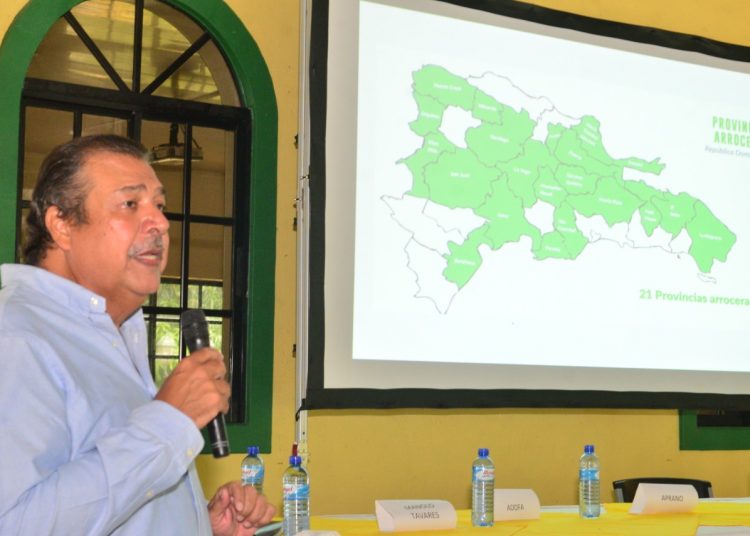 El coordinador nacional de las asociaciones de productores y molineros de arroz, Manolo Tavarez Mirabal, durante su disertación en el panel realizado en La Vega.