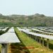 Inauguración de planta de energía solar Los  Girasoles . en Yaguate, San Cristóbal/ Lósther Alvarez