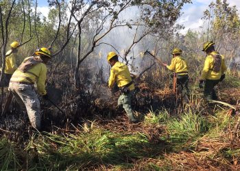 Incendio Cap Cana