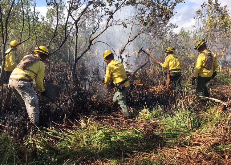 Incendio Cap Cana