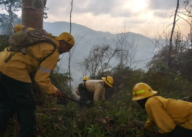 Incendios forestales