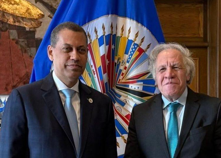 Presidente del Consejo Directivo del Instituto Dominicano de las Telecomunicaciones (Indotel), Guido Gómez Mazara.- Fuente externa.