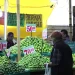 Inflación México