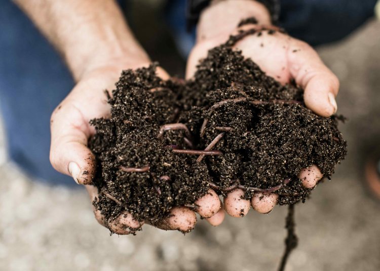 Según Grupo Puntacana, el proceso del sistema Earth Flow se lleva a cabo en un entorno completamente cerrado y automatizado.