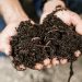 Según Grupo Puntacana, el proceso del sistema Earth Flow se lleva a cabo en un entorno completamente cerrado y automatizado.