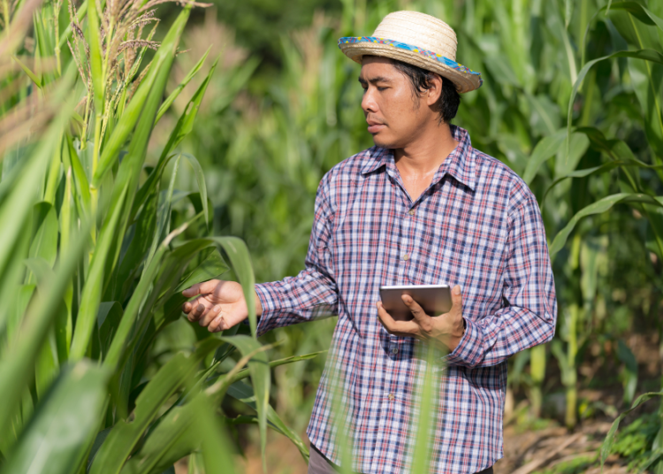 Innovación agricultura Latinoamérica