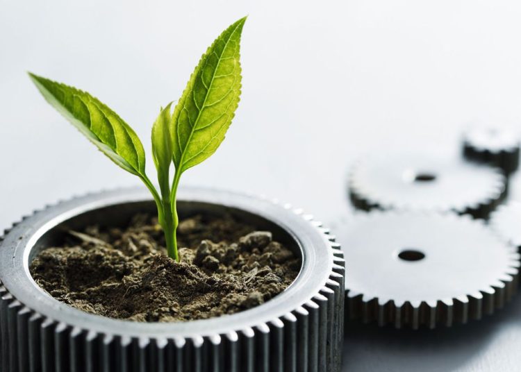 Inversiones verdes, transición verde