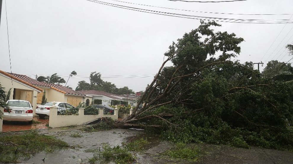 irma en florida