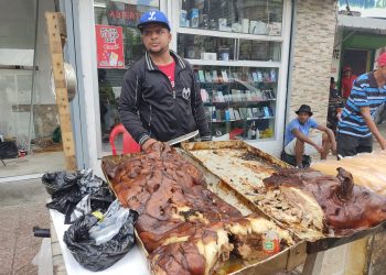 Joan carne cerdo SFM