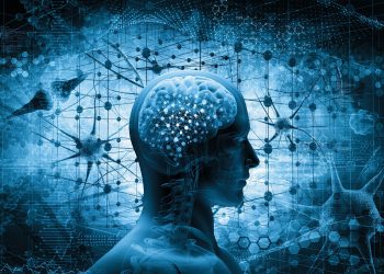 Craneofaringiomas papilares - Fuente externa.