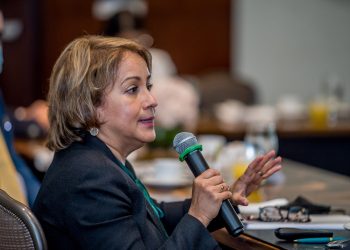La presidenta ejecutiva de Adafp, Kirsis Jáquez, presentó las propuestas del gremio. | Fuente externa.