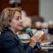 La presidenta ejecutiva de Adafp, Kirsis Jáquez, presentó las propuestas del gremio. | Fuente externa.