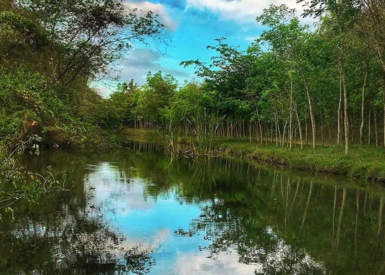 Laguna Prieta