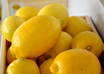 Limones (4)