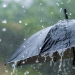 Las temperaturas estarán calurosas debido a la época del año y el viento del este/sureste soplando sobre el país. - Fuente externa.