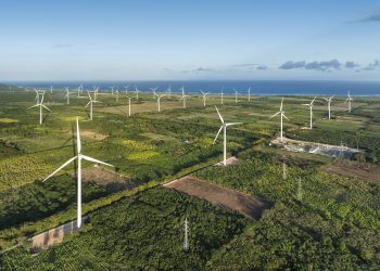 Parque Eólico Los Cocos.- Fuente externa.