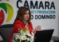 Houellemont subrayó que en 2025 se fortaleció la estructura organizacional de la Cámara.
