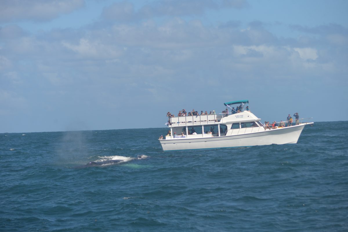 Fotógrafo: Lesther Álvarez | Cortesía para elDinero