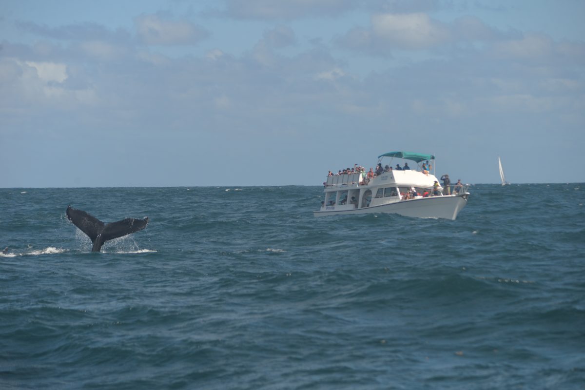 Fotógrafo: Lesther Álvarez | Cortesía para elDinero