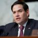 Marco Rubio