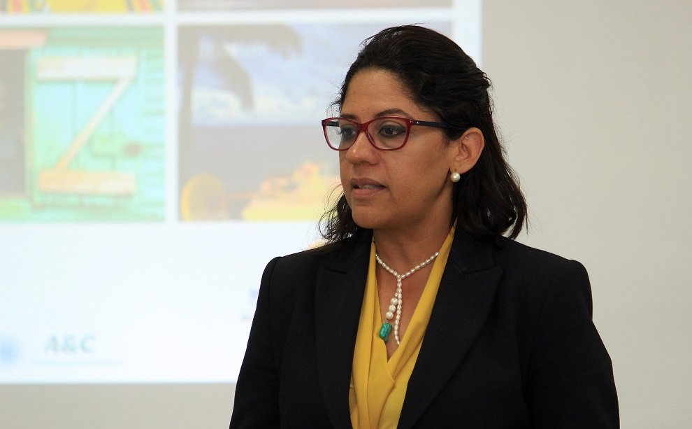 maribel villalona, mitur