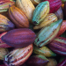 Mazorcas de cacao