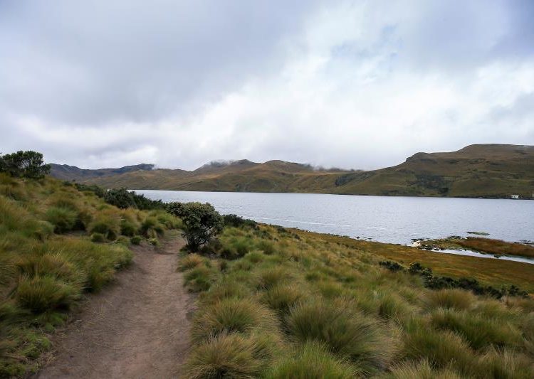 Medioambiente Ecuador